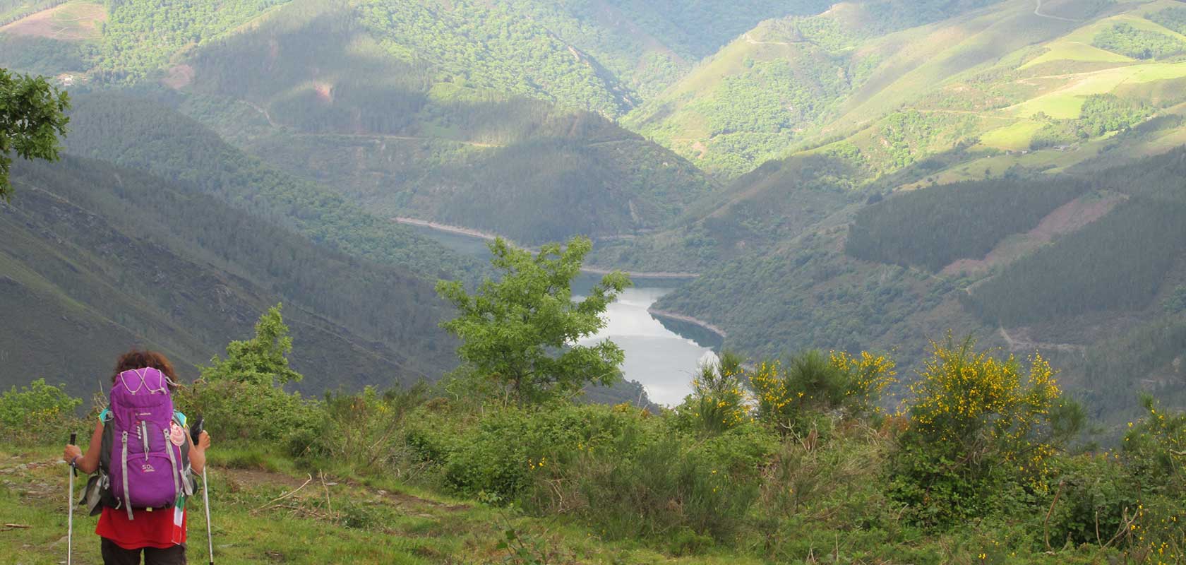 プリミティボの道